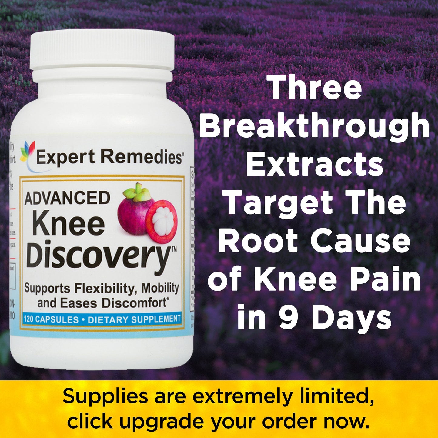 Advanced Knee Discovery Buy 2 get 2 FREE for $119.84