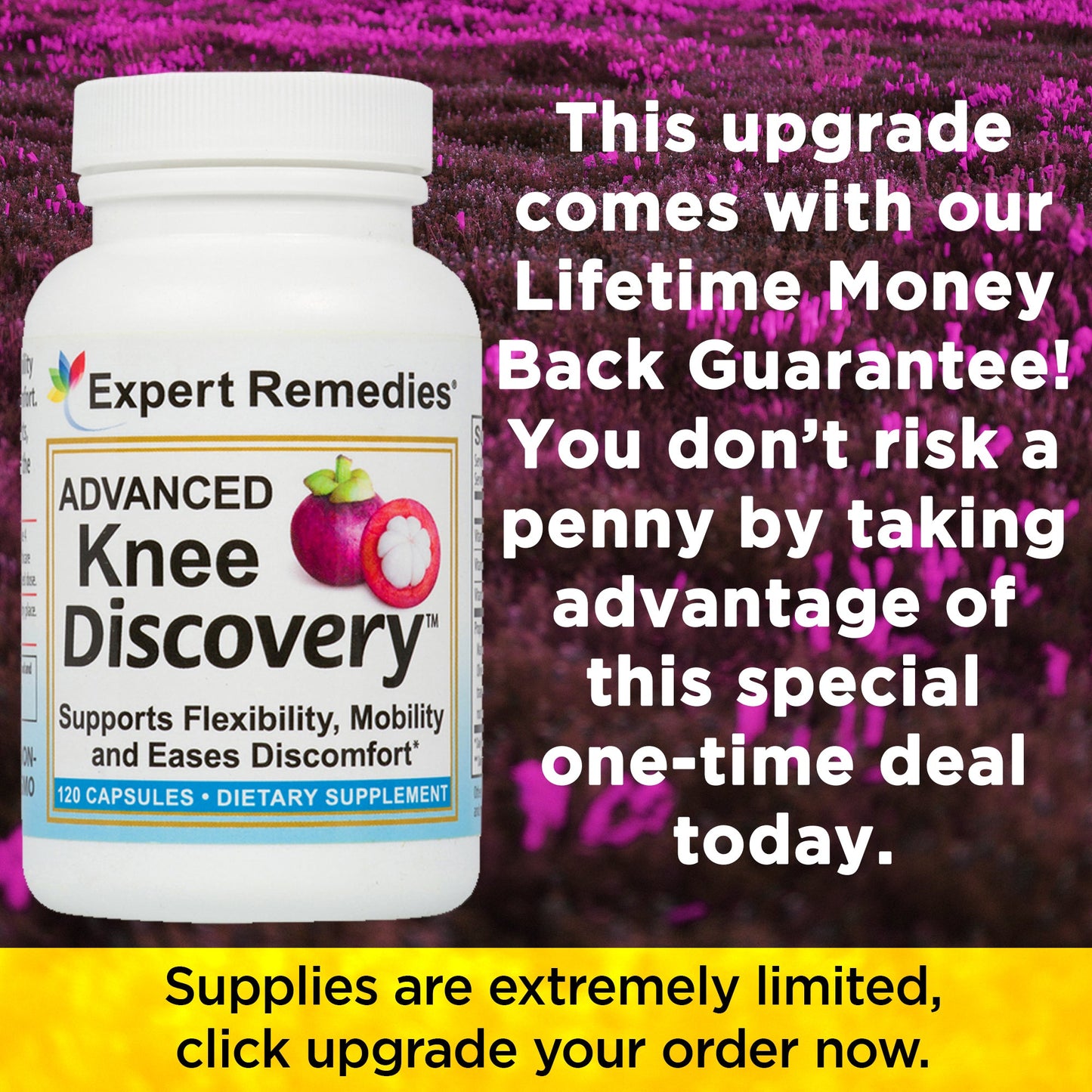 Advanced Knee Discovery Buy 2 get 2 FREE for $119.84